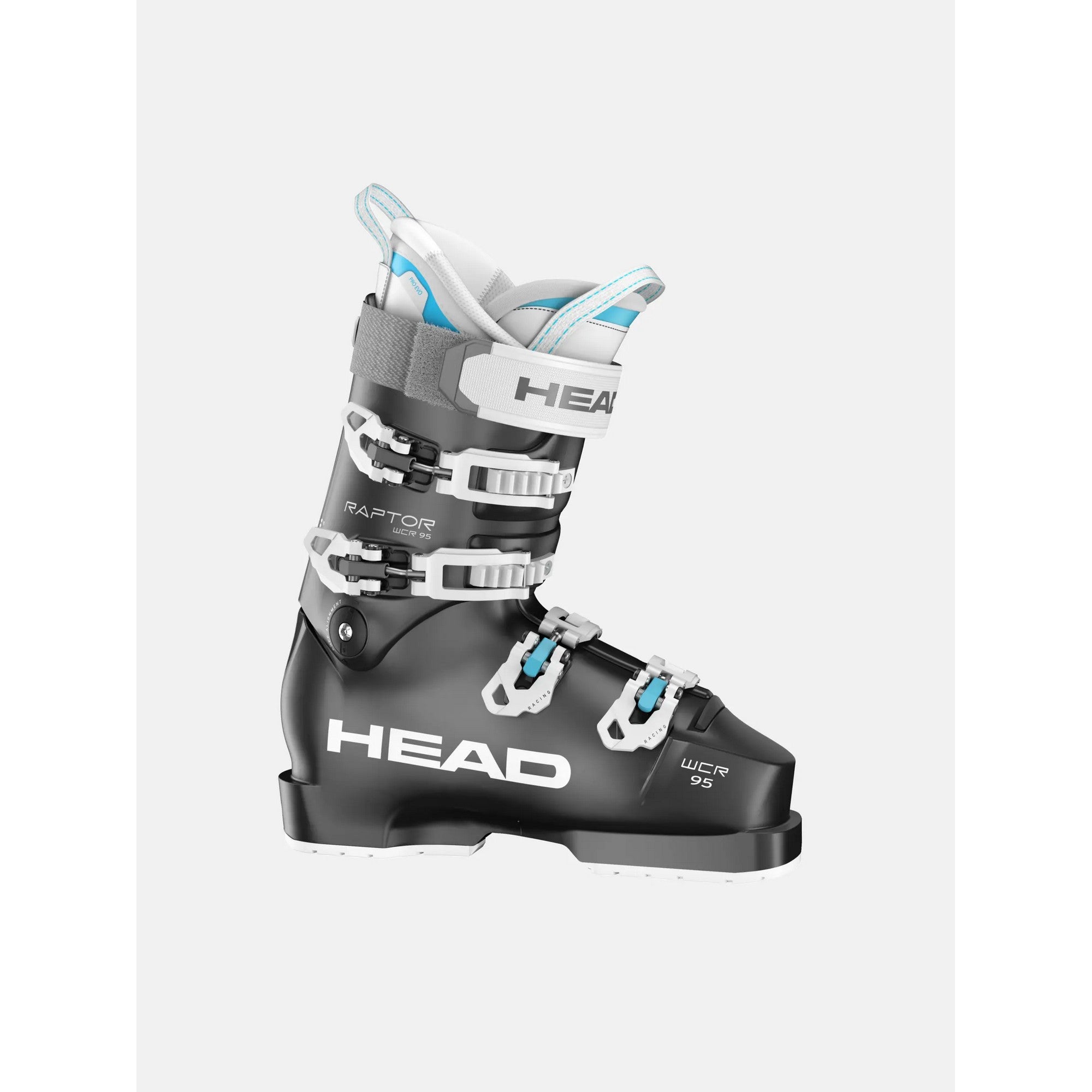 Head RAPTOR  WCR 95 W PV_1