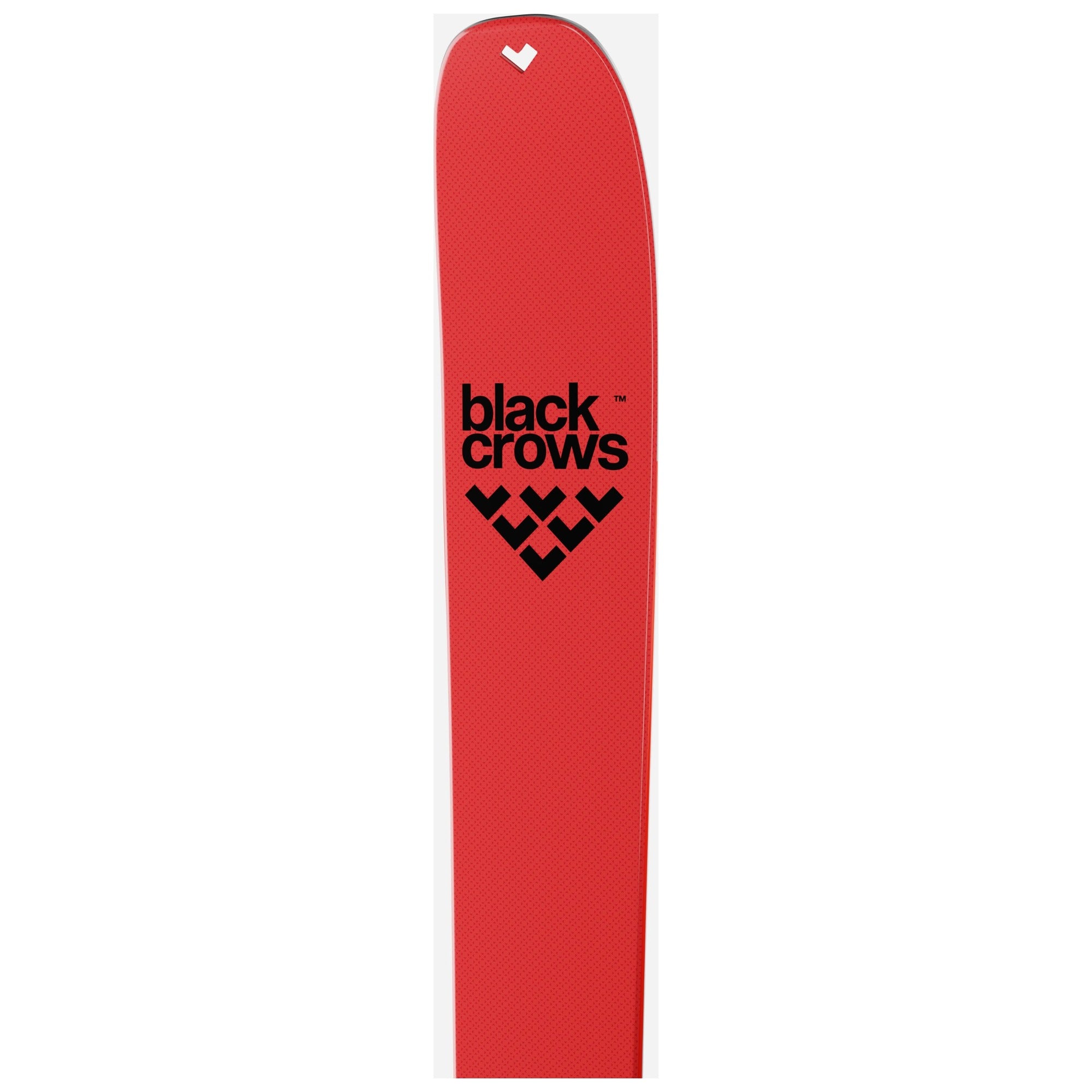 Black Crows DRACO FREEBIRD 26/27