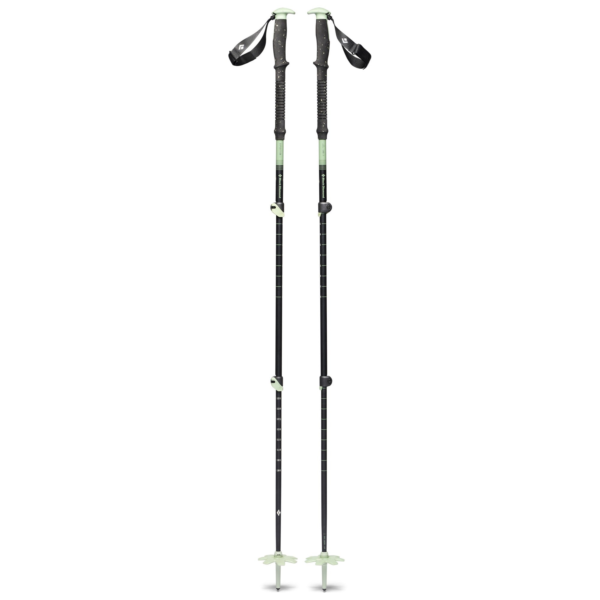 Black Diamond EXPEDITION 3 SKI POLES