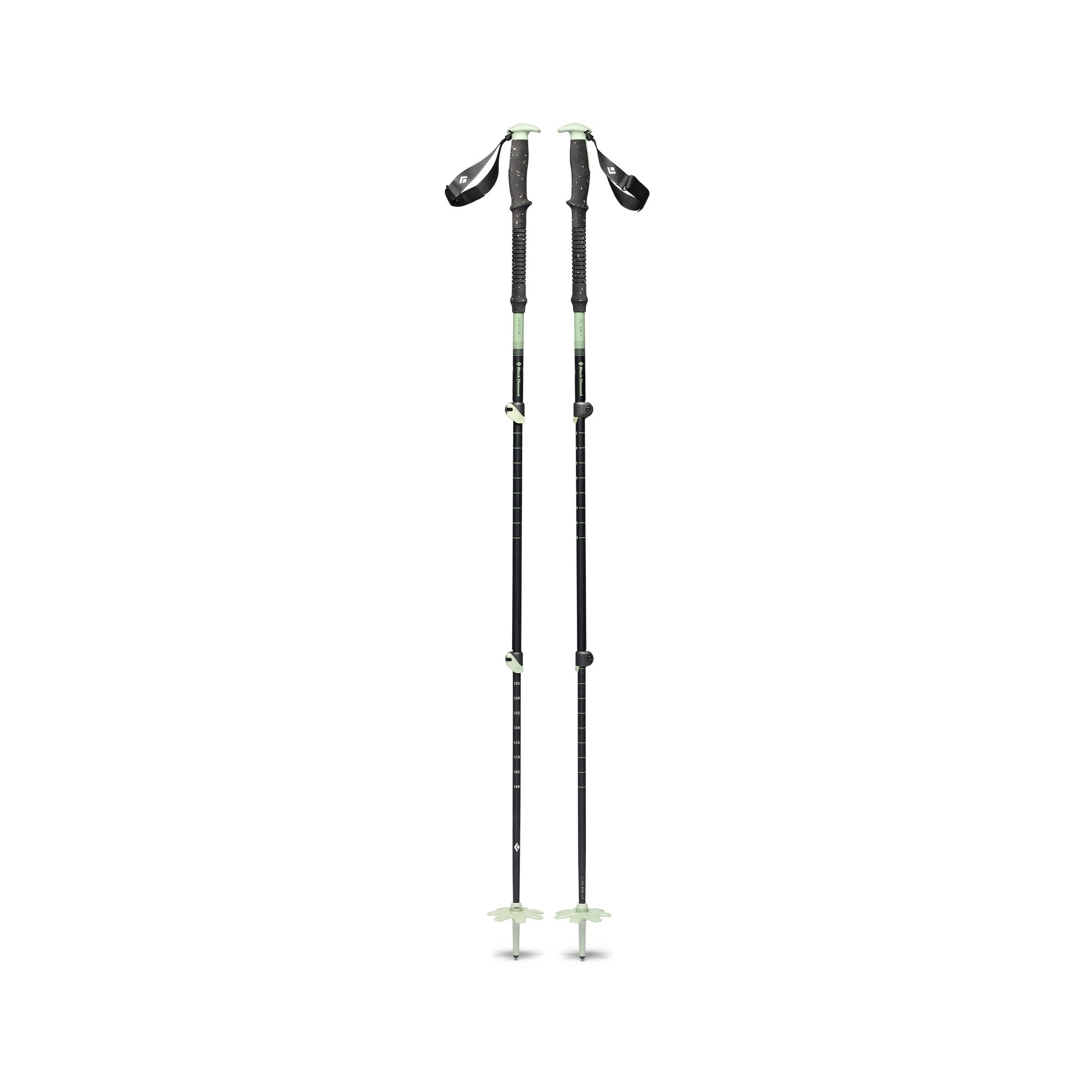 EXPEDITION 3 SKI POLES
