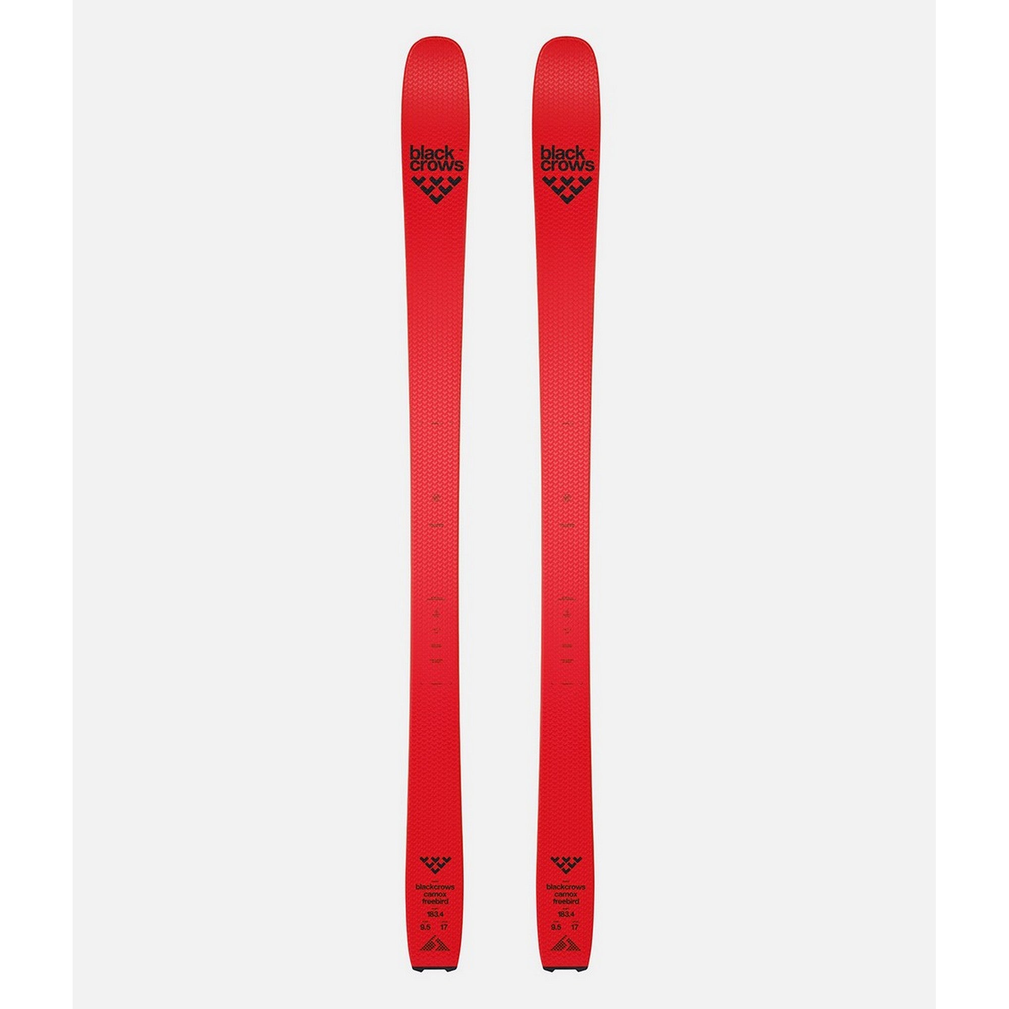 Camox Freebird 24/25