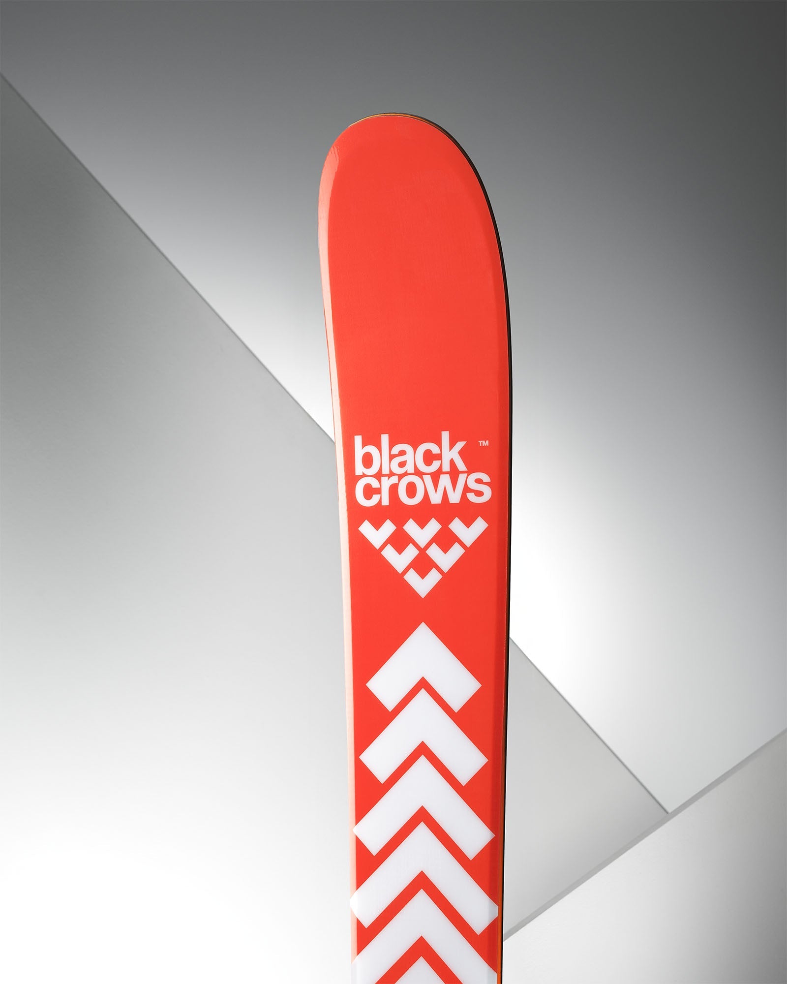 Black Crows Camox Birdie 25/26
