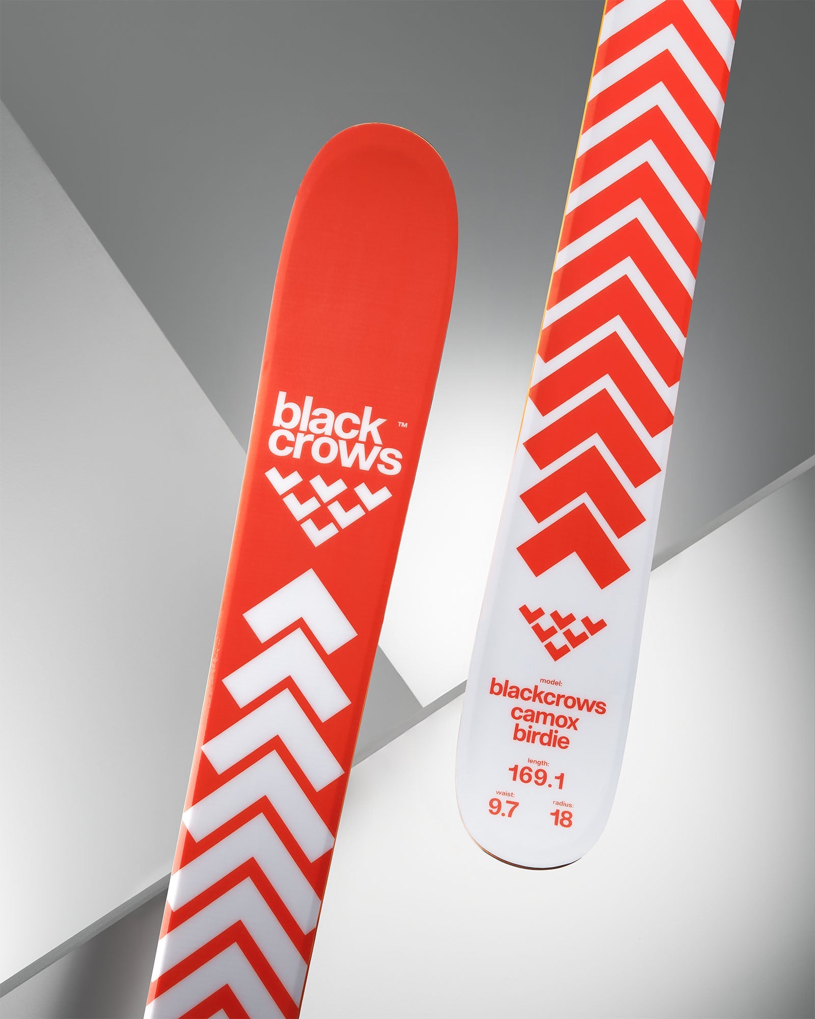 Black Crows Camox Birdie 25/26