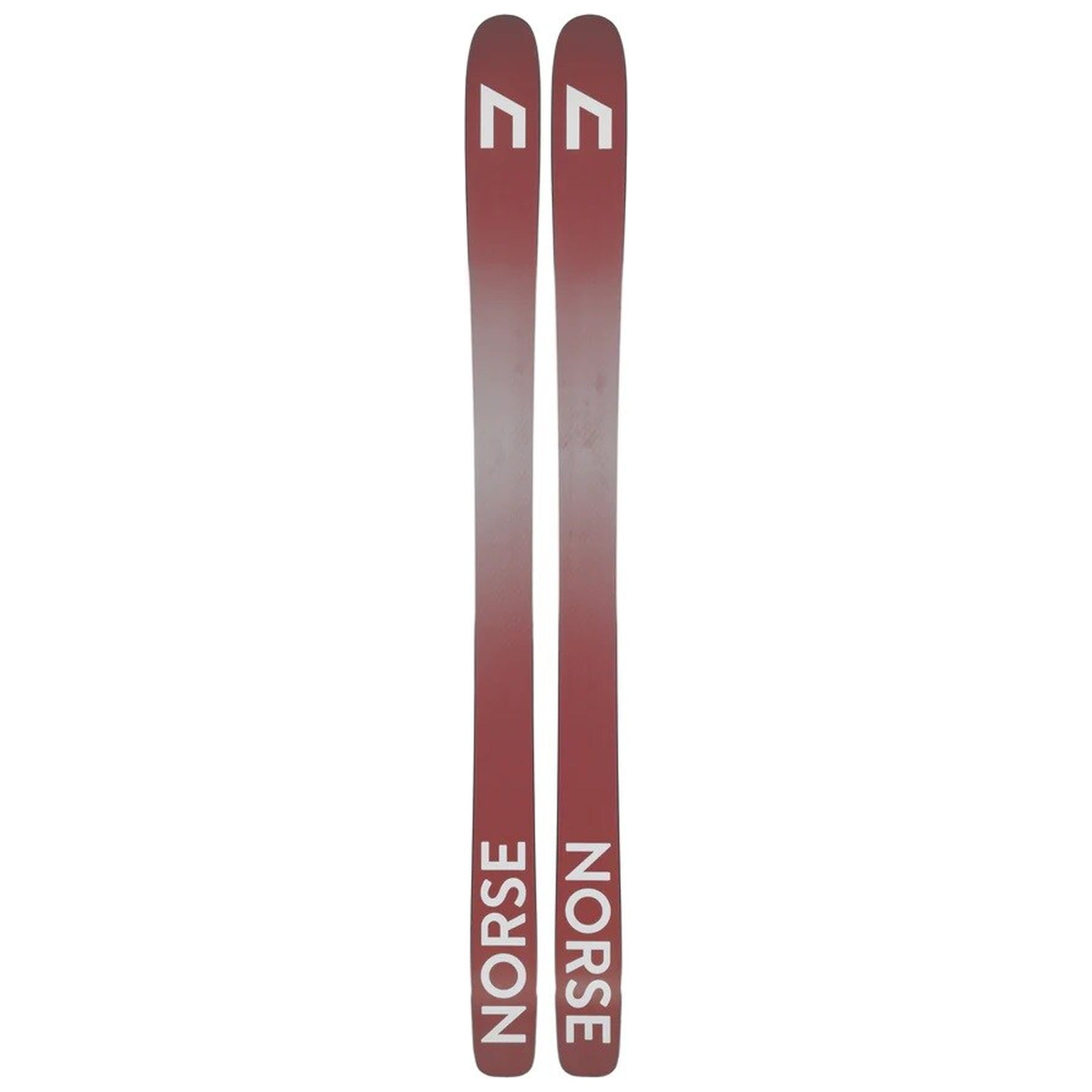 Skis Enduro 100