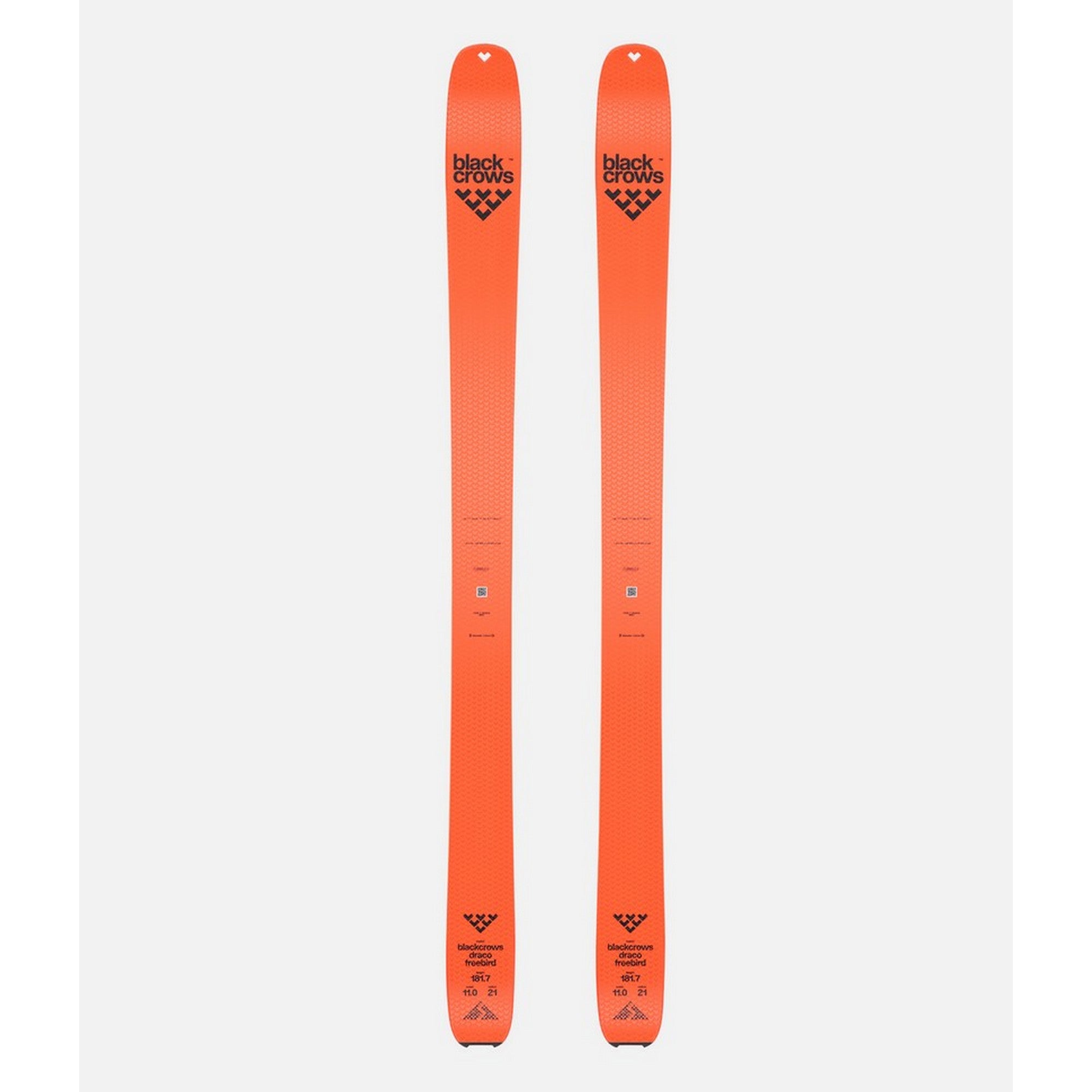 Draco Freebird 24/25