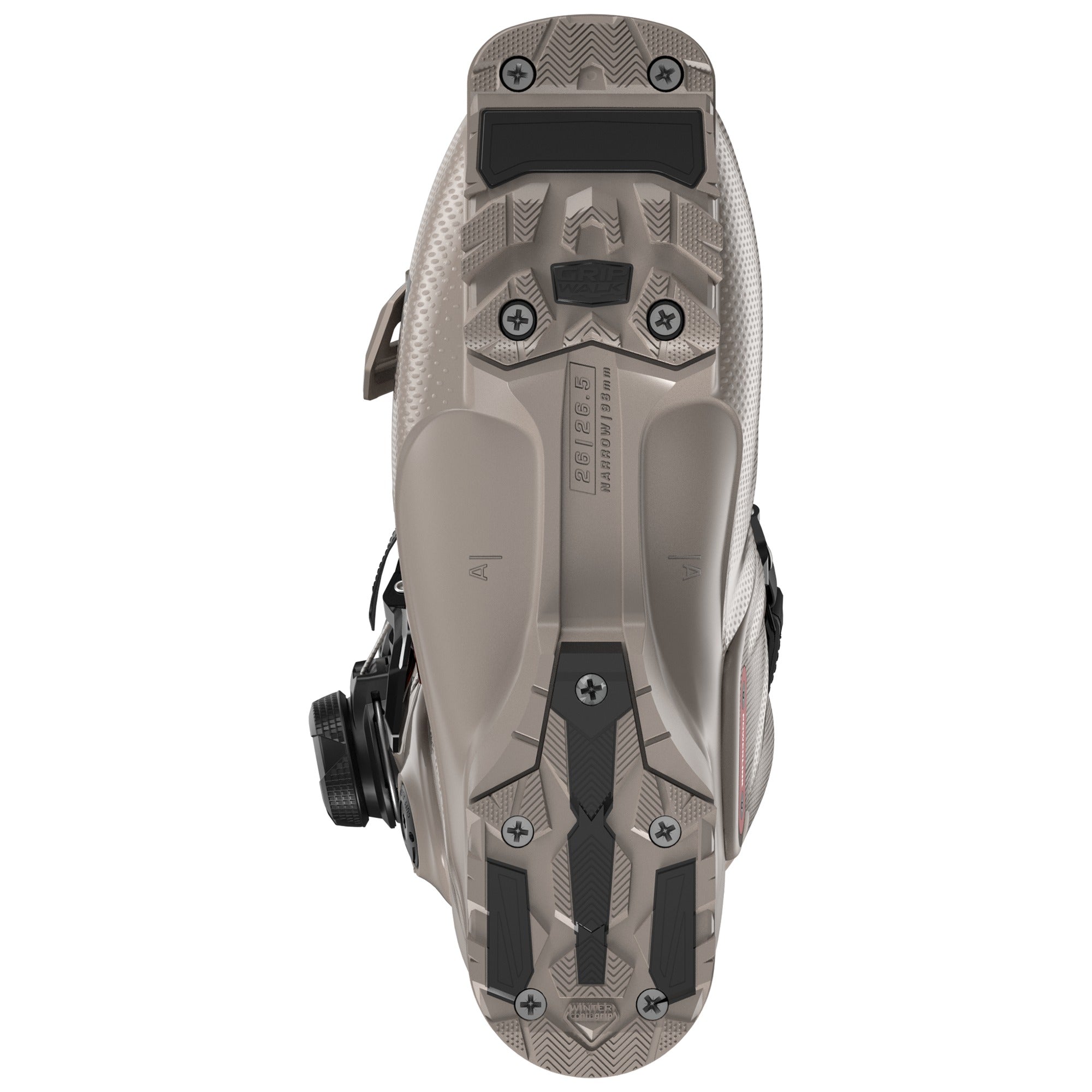Salomon S/PRO ALPHA C BOA 110