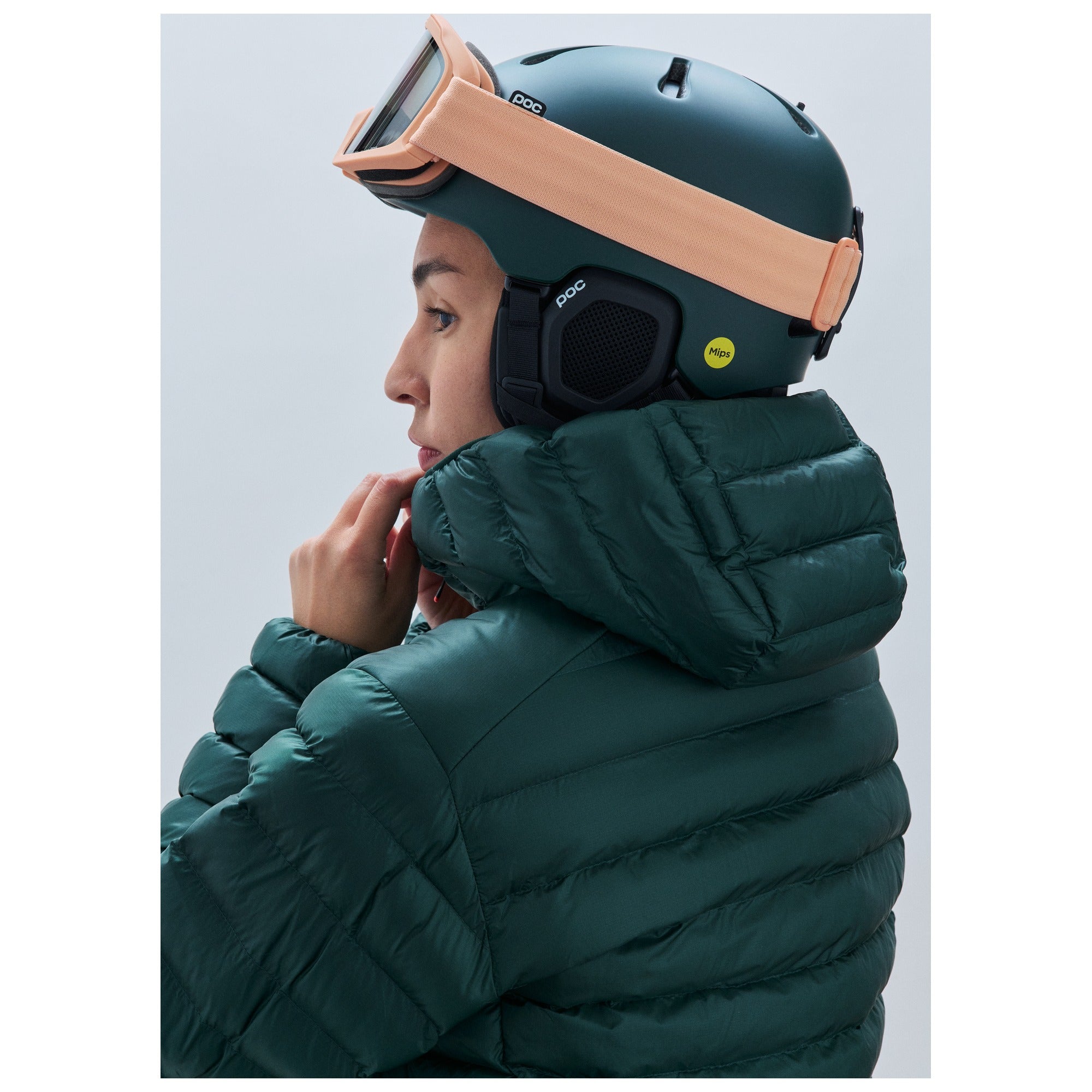 Fornix MIPS