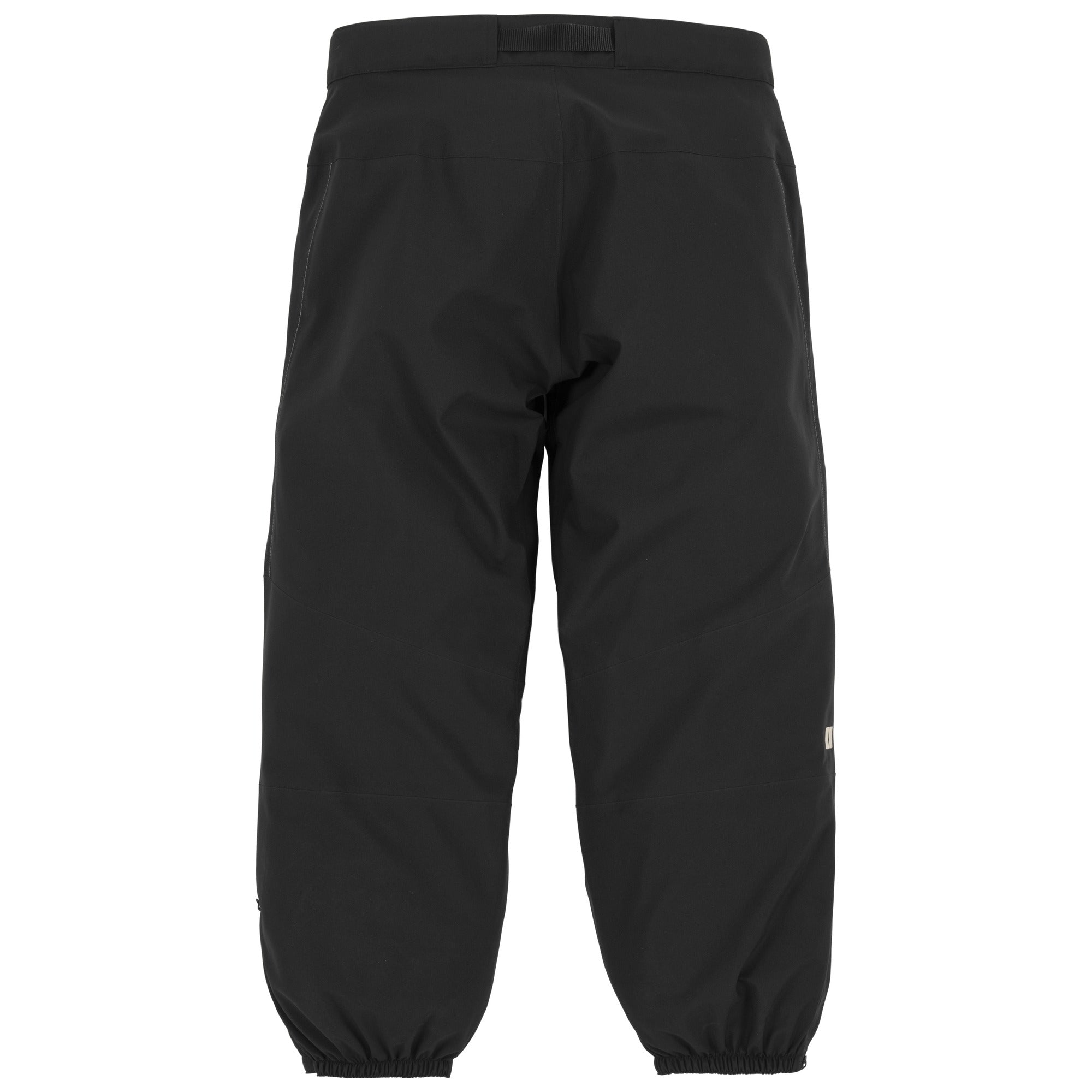 Chromatic 3L Pant