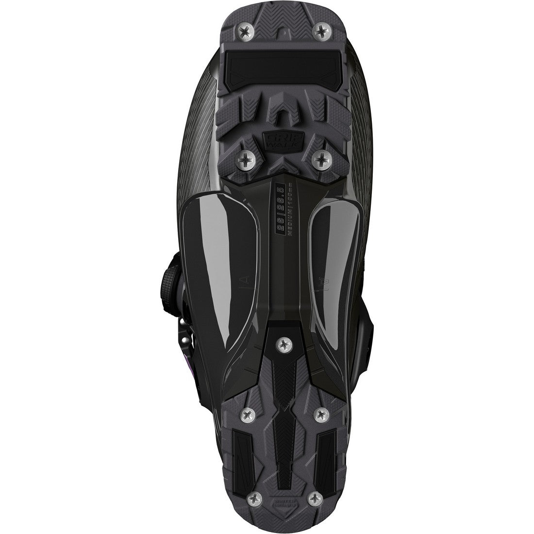 Salomon S/PRO SUPRA BOA 100 GW