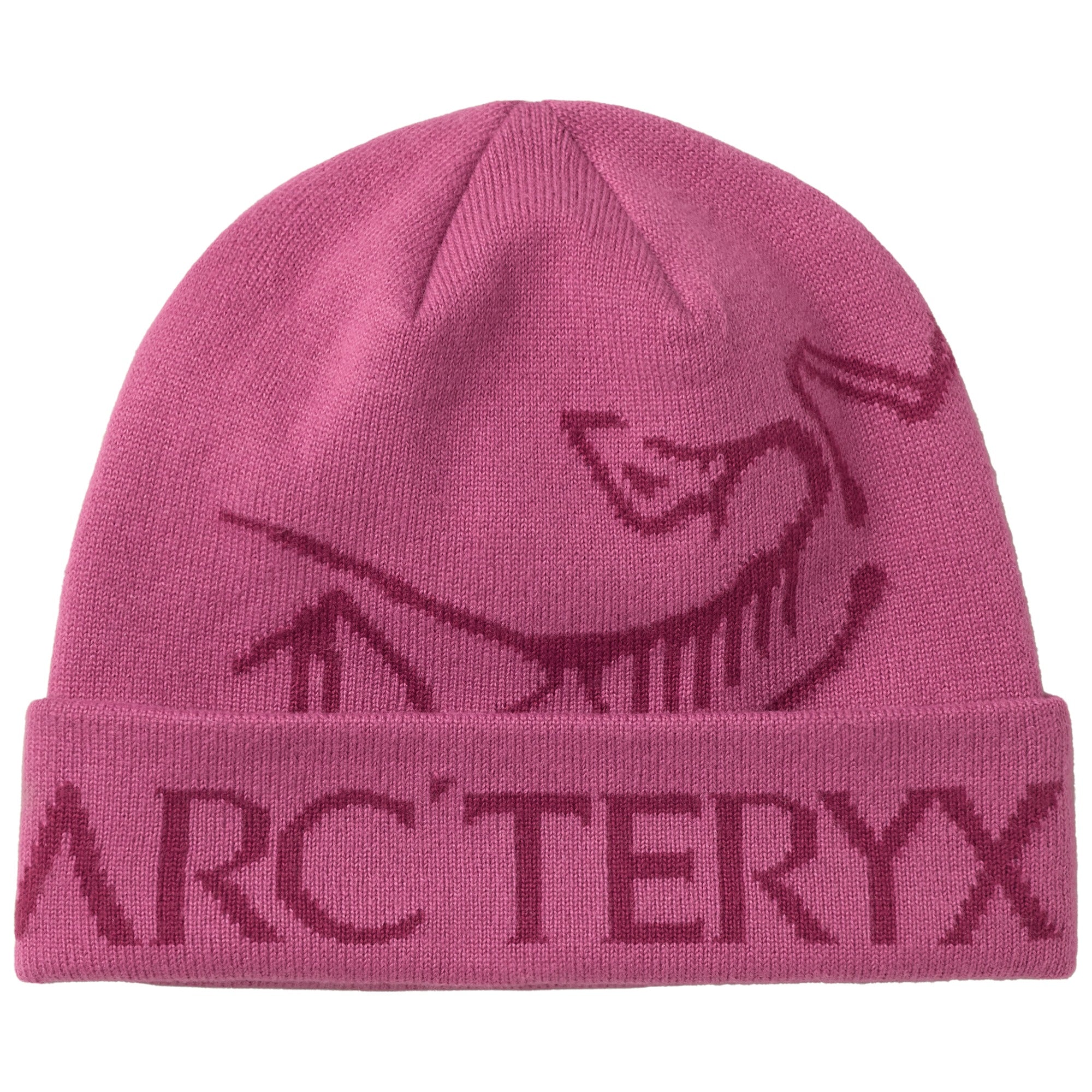 Arcteryx Bird Word Toque LT RENEGADE / RENEGADE