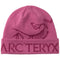 Arcteryx Bird Word Toque LT RENEGADE / RENEGADE
